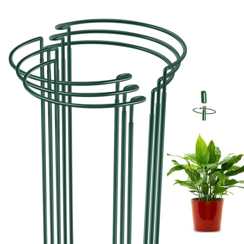 6 Stücke Staudenhalter, Strauchstütze, Blumenstütze, Metall Garten Stützring, Pflanzenhalter Ringkäfig, Metall, Mit Wasserdichter Beschichtung, für Pflanzen, Blume (Halbkreisförmige Stütze 35cm, 6) von YIMINI