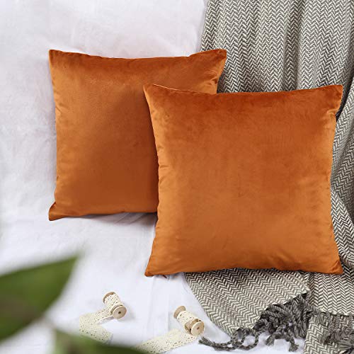 YINFUNG Kissenbezug, Samt, rostfarben, Kupfer, Boho, pelzig, Senf, Kürbis, Wurfkissenbezüge, 45,7 x 45,7 cm, für Couch, Sofa, Bett, dekorativer Kissenbezug, 2er-Set von YINFUNG