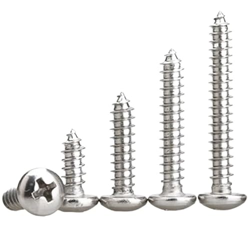 YINGDLEB 10–100 Stück M1 M1,2 M1,4 M1,7 M2 M2,3 M2,6 M3 M4 M5 M6 Edelstahl Kreuzschlitz-Blechschrauben mit rundem Flachkopf, Holzschraube(10mm,M2 100pcs) von YINGDLEB