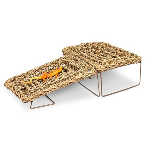 Bartdrache Hängematte - Handgefertigte Seegras Reptilien-Hängematte mit faltbarem Metallrahmen - zusammenklappbare Sonnenplattform für Leopard Gecko, Schlange, Frosch & Einsiedlerkrebs-Lebensraum Bartdrache Hängematte - Handgefertigte Seegras Reptilien-Hängematte mit faltbarem Metallrahmen - zusammenklappbare Sonnenplattform für Leopard Gecko, Schlange, Frosch & Einsiedlerkrebs-Lebensraum von YINGXUN