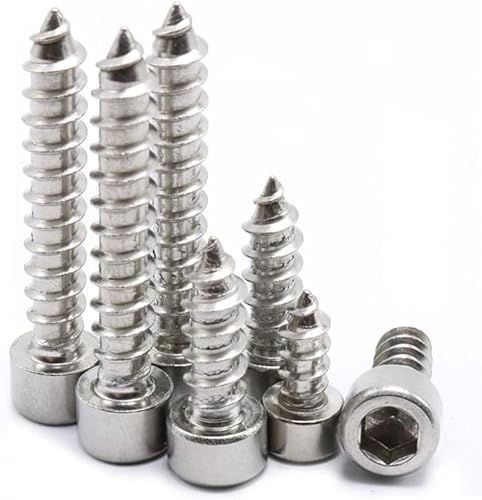 M2 Zylinderkopt-blechschrauben mit Innensechskant, blechschrauben Edelstahl, 100 Stück (M2 x 12 mm) von YINRUISCREW