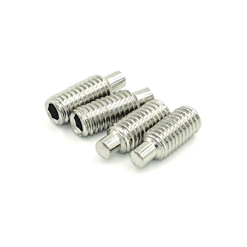 M3 Gewindestifte mit Innensechskant und Zapfen, Edelstahl, 100 Stück (M3 x 4 mm) von YINRUISCREW