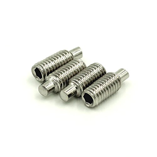 M3 Gewindestifte mit Innensechskant und Zapfen, Edelstahl, 100 Stück (M3 x 5 mm) von YINRUISCREW