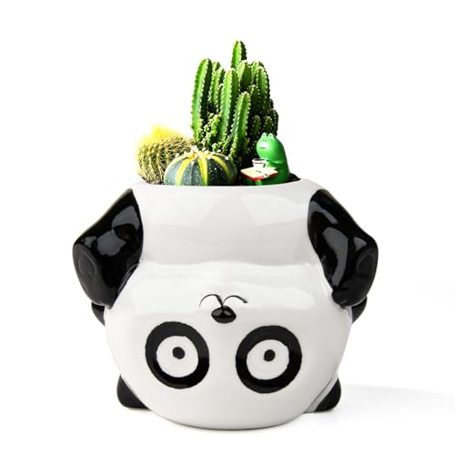 YINUOWEI Süßer Sukkulenten-Übertopf Blumentopf für Kaktus, Bonsai, Gartendekoration, Panda von YINUOWEI