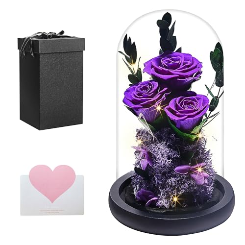 YISONHO Ewige Rose im Glas mit LED-Preserved Roses Flowers, Valentine's Day Wedding Anniversary Birthday Gift ，Girlfriend Mother Wife Geschenke für Frauen, Purple-01 von YISONHO