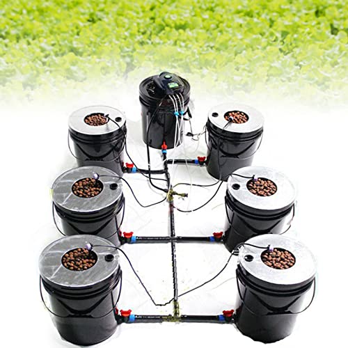 YISSALE Hydroponisches Anzuchtsystem Deep Water Culture Hydroponic DWC System 5 Gallon 7 Bucket Kit DWC Hydroponic System Grow Kit für Nutzpflanzen Multi-Fass-Hydrokultur-Maschine YISSALE Hydroponisches Anzuchtsystem Deep Water Culture Hydroponic DWC System 5 Gallon 7 Bucket Kit DWC Hydroponic System Grow Kit für Nutzpflanzen Multi-Fass-Hydrokultur-Maschine von YISSALE