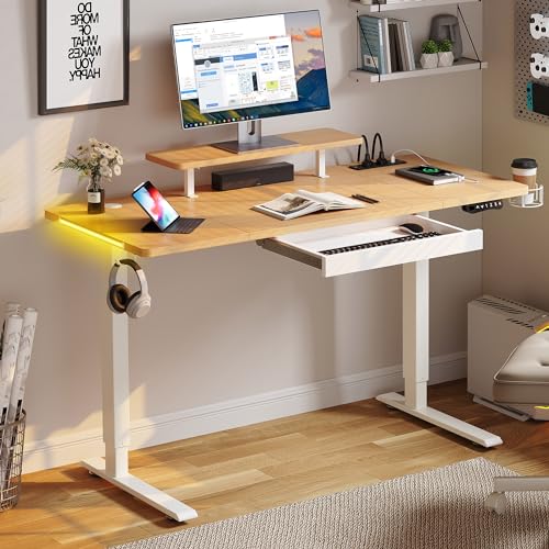 YITAHOME Höhenverstellbarer Schreibtisch 120x60cm Elektrischer Schreibtisch mit USB A Ladeanschluss Elektrisch Standing Desk Computertisch Steh-Sitz-Schreibtisch Ergonomic mit Memory Funktion von YITAHOME