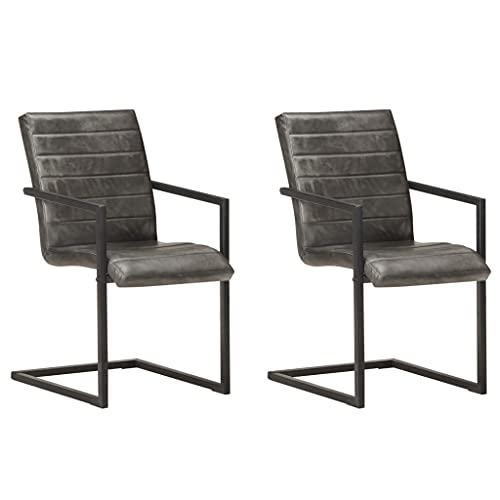 YITHOPI Freischwinger 2 STK. Grau Echtleder Stühle Esszimmer Bequeme Stühle für Wohnzimmer von YITHOPI
