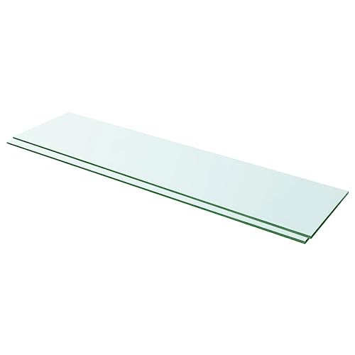 YITHOPI Regalböden 2 STK. Glas Transparent Aufbewahrungsregal Schweberegal für Schlafzimmer Büro 100x25 cm von YITHOPI