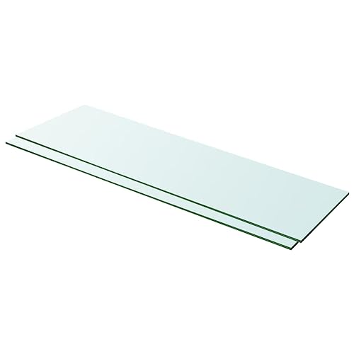 YITHOPI Regalböden 2 STK. Glas Transparent Wandboard Bücherregal für Büro Küche 100x30 cm von YITHOPI