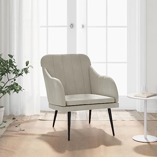YITHOPI Sessel Hellgrau Sitzmöbel Wohnzimmerstuhl für Schlafzimmer Büro 63x76x80 cm Samt von YITHOPI