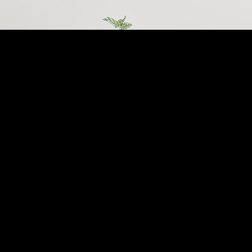 YITHOPI Wandmontierbarer TV-Schrank mit 3 Fächern, Holzwerkstoff, klassisches Design für Wohnzimmer, multifunktional als Medienschrank oder Nachttisch, platzsparend und dekorativ. von YITHOPI