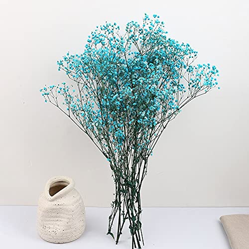 YIWOYI Gypsophila Natürliche getrocknete Blume, Babybreath natürlich getrocknete Schleierkraut-Blume für Hochzeit, Heimdekoration, Valentinstag (blau, ca. 80 g) von YIWOYI