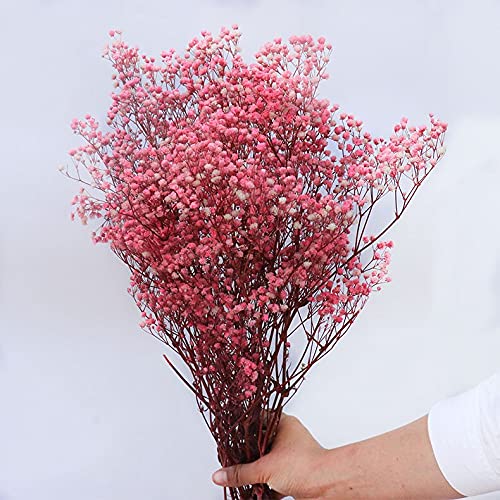 YIWOYI Natürliche Gypsophila getrocknete Blumen, natürlich frische Schleierkraut-Paniculata, Blumensträuße, Geschenk für Hochzeitsdekoration, Heimdekoration (Pink, 40–55 cm, 80 g) von YIWOYI