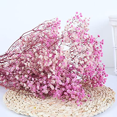 YIWOYI Natürliche Gypsophila getrocknete Blumen, natürlich frische Schleierkraut-Paniculata, Blumensträuße, Geschenk für Hochzeitsdekoration, Heimdekoration (rosa lila, 40–55 cm, 80 g) von YIWOYI