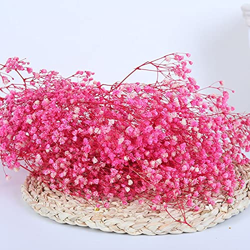 YIWOYI Natürliche Trockenblume, Schleierkraut, frisch getrocknet, getrocknete Blumen, Blumensträuße für Hochzeit, Party, Heimdekoration, 30 - 40 cm, 30 g, Rosa von YIWOYI