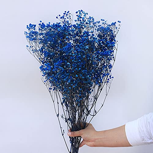 YIWOYI Natürliche Trockenblume, Schleierkraut, frisch getrocknete Blumen, Gypsophila Paniculata, Blumensträuße für Hochzeit, Party, Heimdekoration, 40 - 55 cm, 80 g, Königsblau von YIWOYI