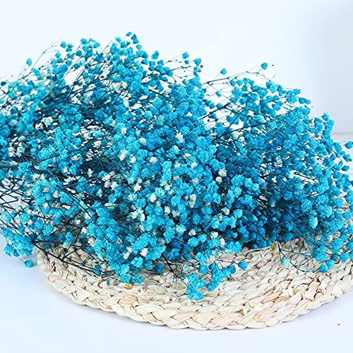 YIWOYI Natürliche Trockenblume, Schleierkraut, frisch getrocknet, getrocknete Blumen, Blumensträuße für Hochzeit, Party, Heimdekoration, 30 - 40 cm, 30 g, Marineblau von YIWOYI