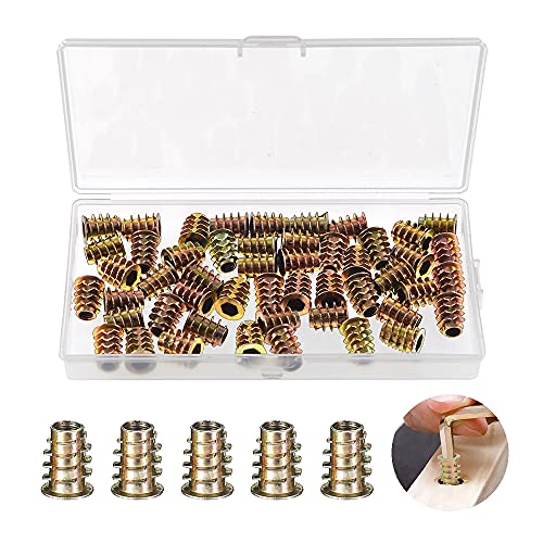 YIXISI 50 Stücke M6x15 Zink-legierung Einschraubtyp Hex Antrieb Gewindeeinsatz Muttern Sortiment, Innensechskantmuttern Gewindeeinsatz Muttern M6, für Weiches Holz Holzmöbel YIXISI 50 Stücke M6x15 Zink-legierung Einschraubtyp Hex Antrieb Gewindeeinsatz Muttern Sortiment, Innensechskantmuttern Gewindeeinsatz Muttern M6, für Weiches Holz Holzmöbel von YIXISI