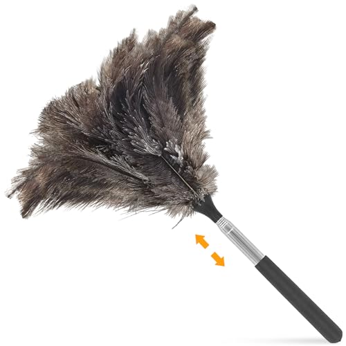 Teleskop Straußenfedern Staubwedel, Waschbar Anti-Statik Ausziehbarer Duster, Flauschige Fatürliche Echte Federn für Hochflächen, Deckenventilator, Möbel und Empfindliche Einrichtungen, 115cm von YIYAXIN