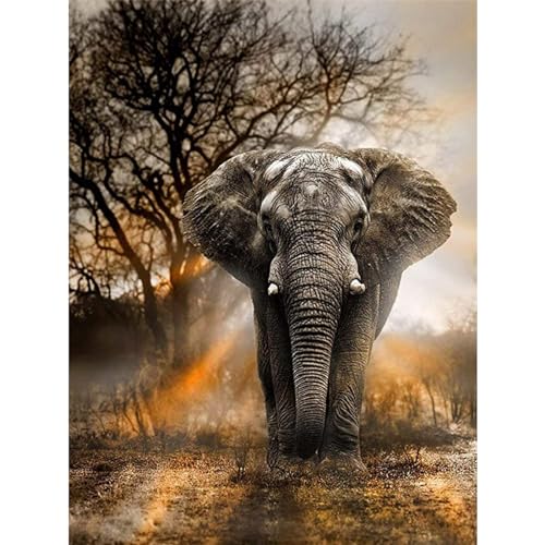 YIYUE 5D Diamond Painting Kits Bilder für Erwachsene, Elefant DIY Diamant Malerei Painting Bilder Set, Diamond Art Full Runder Malen Nach Zahlen Erwachsene Set (35x45cm), Nr. 5 von YIYUE