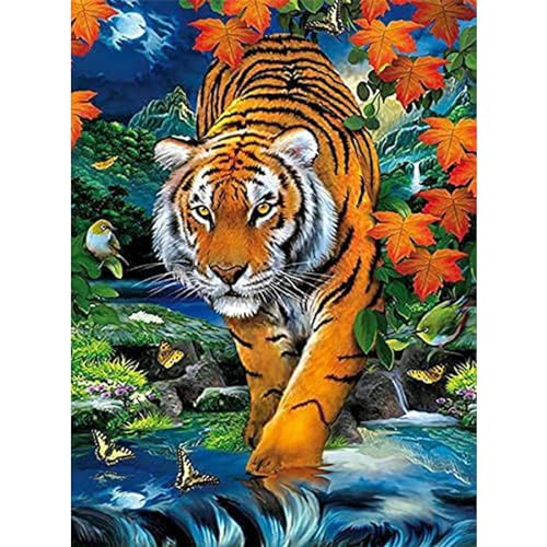 YIYUE 5D Diamond Painting Kits Bilder für Erwachsene, Tiger DIY Diamant Malerei Painting Bilder Set, Diamond Art Full Runder Malen Nach Zahlen Erwachsene Set (35x45cm), Nr. 1 von YIYUE