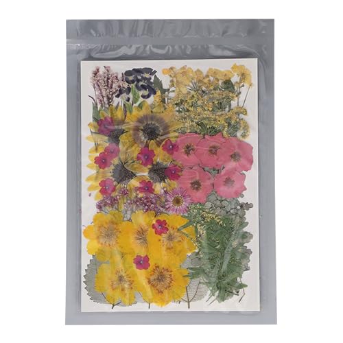 100 Stcs getrocknetes Blumenkit Trockenblüten 2 Aufkleber Scrapbooking Kerzenschmuck machen von YIZISECCE
