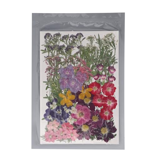 110 Stcs getrocknete Blumen elegante Bastelmittel für DIY Nail Art Wedding Decor von YIZISECCE