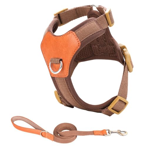 Hundegeschirr für kleine Hunde, ohne Ziehen, mit Leine, verstellbarer Clip, bequemer und sicherer Clip, Welpengeschirr Hundegeschirr für kleine Hunde, ohne Ziehen, mit Leine, verstellbarer Clip, bequemer und sicherer Clip, Welpengeschirr von YIZITU