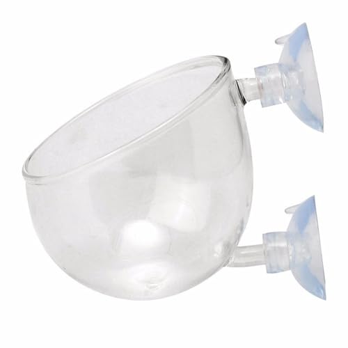 YIZITU Glas-Pflanzbecher mit Saugnäpfen für Wasserpflanzen, Aquarien, Landschaftspflanzenhalter YIZITU Glas-Pflanzbecher mit Saugnäpfen für Wasserpflanzen, Aquarien, Landschaftspflanzenhalter von YIZITU