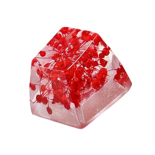 YIZITU Kunsthandwerksanaler Durchscheinender Epoxy Schlüsselcap Mit Erhaltenen Blumen Für Mechanische Tastaturschlüsselkaps 1PC Tastaturschlüsselkap von YIZITU