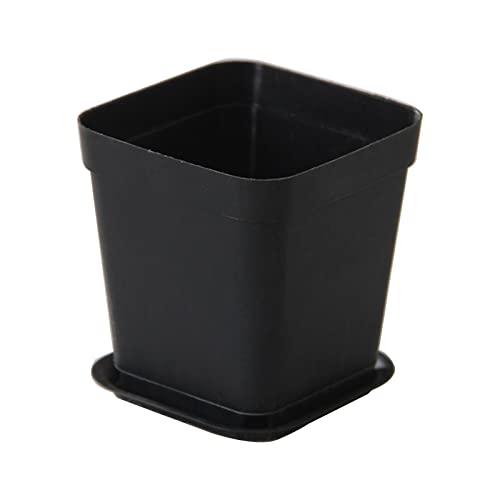 YIZITU Quadratische Sukkulpfmaschiner Topf Sukkulente Atmungsaktive Plastikpflanzenpflanze Innenssill Kräuter Pflanzer 5x8x7cm Pflanzenstandset Set von YIZITU