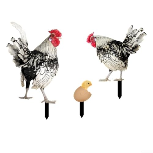 YJDOORPLAY Outdoor Acryl Huhn Deko Gartenstecker für Hofkunst Wetterfest Rasen Ornament Buntes Design Bodeninstallation Verspieltes Dekor Wasserdicht Lichtbeständig 3 Stück Set YJDOORPLAY Outdoor Acryl Huhn Deko Gartenstecker für Hofkunst Wetterfest Rasen Ornament Buntes Design Bodeninstallation Verspieltes Dekor Wasserdicht Lichtbeständig 3 Stück Set von YJDOORPLAY