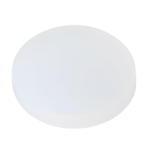 10 Stück selbstklebende VMQ-Bastelblätter, Schutzfolien, Blätter mit fester Kleberückseite, 12–100 mm Durchmesser(100MM*3MM) von YJQHODY