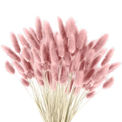 120 PCS Getrocknetes Pampasgras,Trockenblumen Pampasgras Pflanzen Flauschige Trockenblumen ,Boho Zuhause Dekoration Blumenarrangements(rosa) von YJSDDNTY