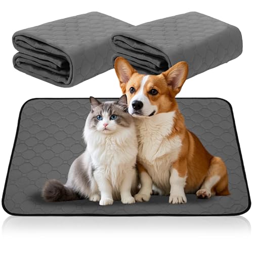 2pcs Welpenunterlagen Waschbar, 60 × 50cm Haustier-Urinunterlage Waschbar , Set Schnell Absorbierend Matte für Hunde Haustier Hygieneunterlage,Hundematte für Boden Sofa Auto Reisen ﻿ von YJSDDNTY