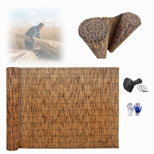 YJSGHRHL Bambusmatte Sichtschutz 30-190cm Höhe, Natürlicher Schilfzaun Garten Bambus Matte Robuste, Windschutz Bambus Zaun Rollen für Terrasse Pergola Balkon Hinterhof YJSGHRHL Bambusmatte Sichtschutz 30-190cm Höhe, Natürlicher Schilfzaun Garten Bambus Matte Robuste, Windschutz Bambus Zaun Rollen für Terrasse Pergola Balkon Hinterhof von YJSGHRHL