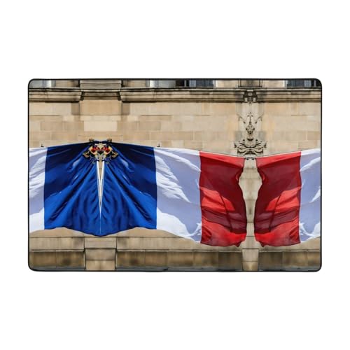 YJxoZH Teppich mit französischer Flagge, für Wohnzimmer, Küche, rutschfester Bodenteppich, ultraweich von YJxoZH