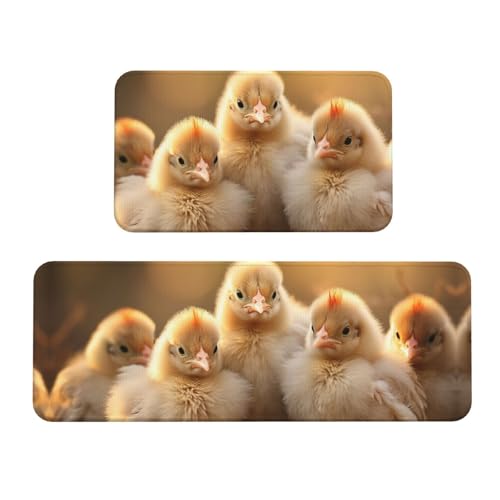 A Brood of Chickens1 Küchenmatten für Boden, Küchenteppich-Set, für verschiedene Innen- und Außenbereiche von YKJJFVZ