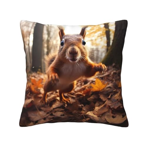 YKJJFVZ Couch-Kissenbezüge mit Eichhörnchen-Druck, dekorative Kissenbezüge für Couch YKJJFVZ Couch-Kissenbezüge mit Eichhörnchen-Druck, dekorative Kissenbezüge für Couch von YKJJFVZ