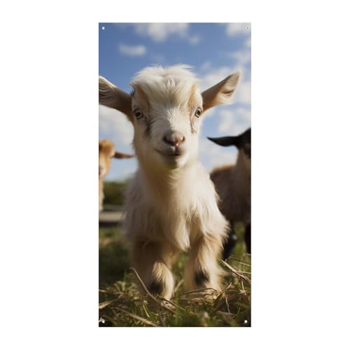 Geburtstags-Banner, mehrfarbig, Wimpelkette, Flaggen, hängende Dekoration, niedliche Ziege, Feier, Jahrestag, Taufe, Türvorhang Geburtstags-Banner, mehrfarbig, Wimpelkette, Flaggen, hängende Dekoration, niedliche Ziege, Feier, Jahrestag, Taufe, Türvorhang von YKLBV