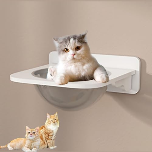 Katzenklettergerüst, Modernes Katzenwandmöbel-Set, Katzenkletterwand-Spielplatz, Katzenwandstufen-Katzenhaus, Raumkapsel usw.(S3) von YKMYXZ