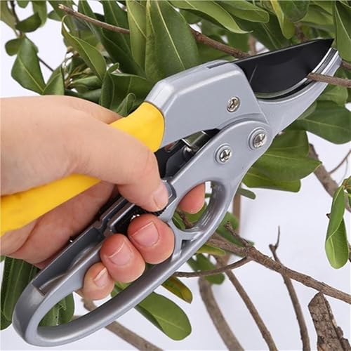 YKMYXZ， Garten-Waldpflanzenschere, Garten-Schnittwerkzeuge for Beschneiden kleiner Äste mit einem Durchmesser von 26 mm von YKMYXZ