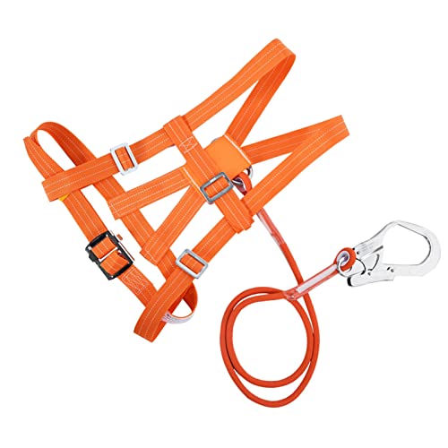 YKMYXZ Klettern Sling， Sicherheitsgurt for Luftarbeiten, Klettergurt-Set, Outdoor-Klettergurt, Absturzsicherungsgurt for Arbeiten beim Dachklettern(Big Buckle,3 Months) von YKMYXZ