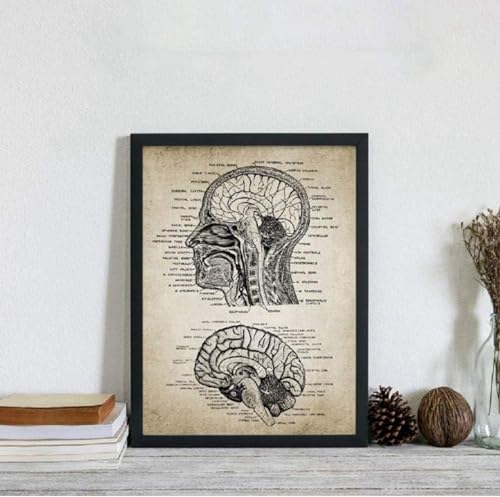 YLHKME Vintage Menschenkopf Und Gehirn Anatomie Bilder Leinwand Malerei, Menschliche Anatomie Wandbilder Wohnzimmer Schlafzimmer Deko Poster Kunstdrucke,Ohne Rahmen (Rahmenlos,60X80CM) von YLHKME