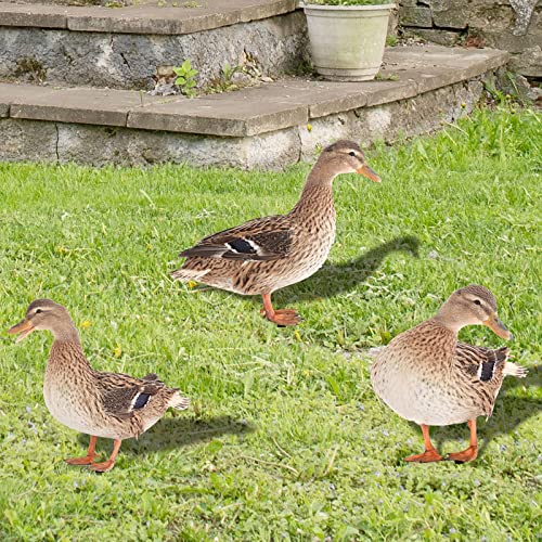 Acryl Huhn Gartendeko Ente Gartendeko, Acryl Huhn Ente, Gartendeko Huhn Deko Ente Deko, Handarbeit Gartenstatue Dekorative Henne Huhn Ente Gartenstecker, Gartenstecker Figur (6-B (1pcs), One Size) von YLLQXI