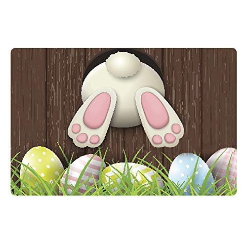 Fußmatten Ostern, Ostern Fussmatte Mit Osterhase Deko Schmutzfangmattee Waschbar Fussmatte Für Innen & Außen, Schmutzfangmattee Hasen Frühling Küche Rutschfest Teppich Bodenmatte, (A-9, One Size) von YLLQXI