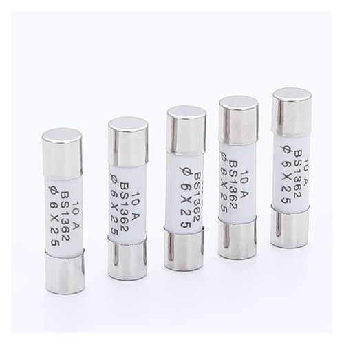 YLPWKMVZ Sicherung 250V 0,5A 1A 2A 3A 4A 5A 6A 7A 8A 10A 13A 15A 20A 30A 16A(30A,RO55 5X25MM_10PCS) von YLPWKMVZ