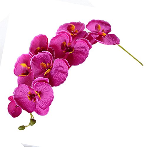 Simulierter Einzelzweig mit 8 Kleinen Phalaenopsis-Orchideen, Innendekoration, Künstliche Blumen Kunstblumen aus Kunststoff Zum Basteln, Rosa für die Inneneinrichtung(#1) von YLSZHY