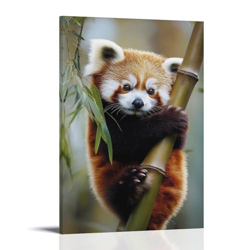 YMHDJYH Tier-Poster, niedlich, roter Panda, Bambus, Wandkunst, Wandkunst, Wandbild, moderne Dekoration, hängendes Kunstposter, 30 x 45 cm YMHDJYH Tier-Poster, niedlich, roter Panda, Bambus, Wandkunst, Wandkunst, Wandbild, moderne Dekoration, hängendes Kunstposter, 30 x 45 cm von YMHDJYH